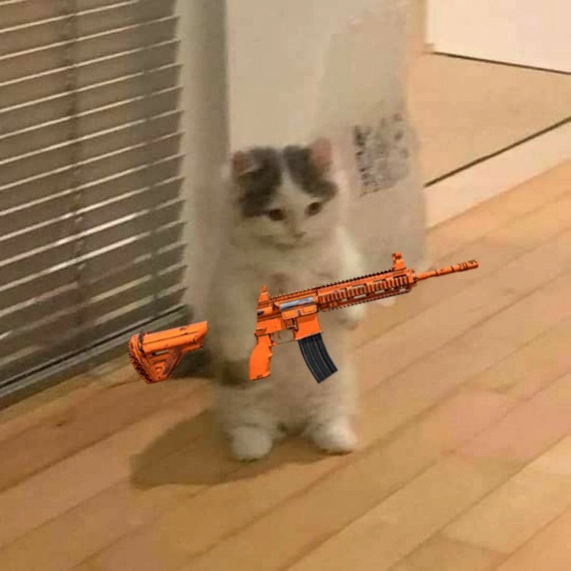 Dễ thương hết cỡ với buồn cười meme mèo cute