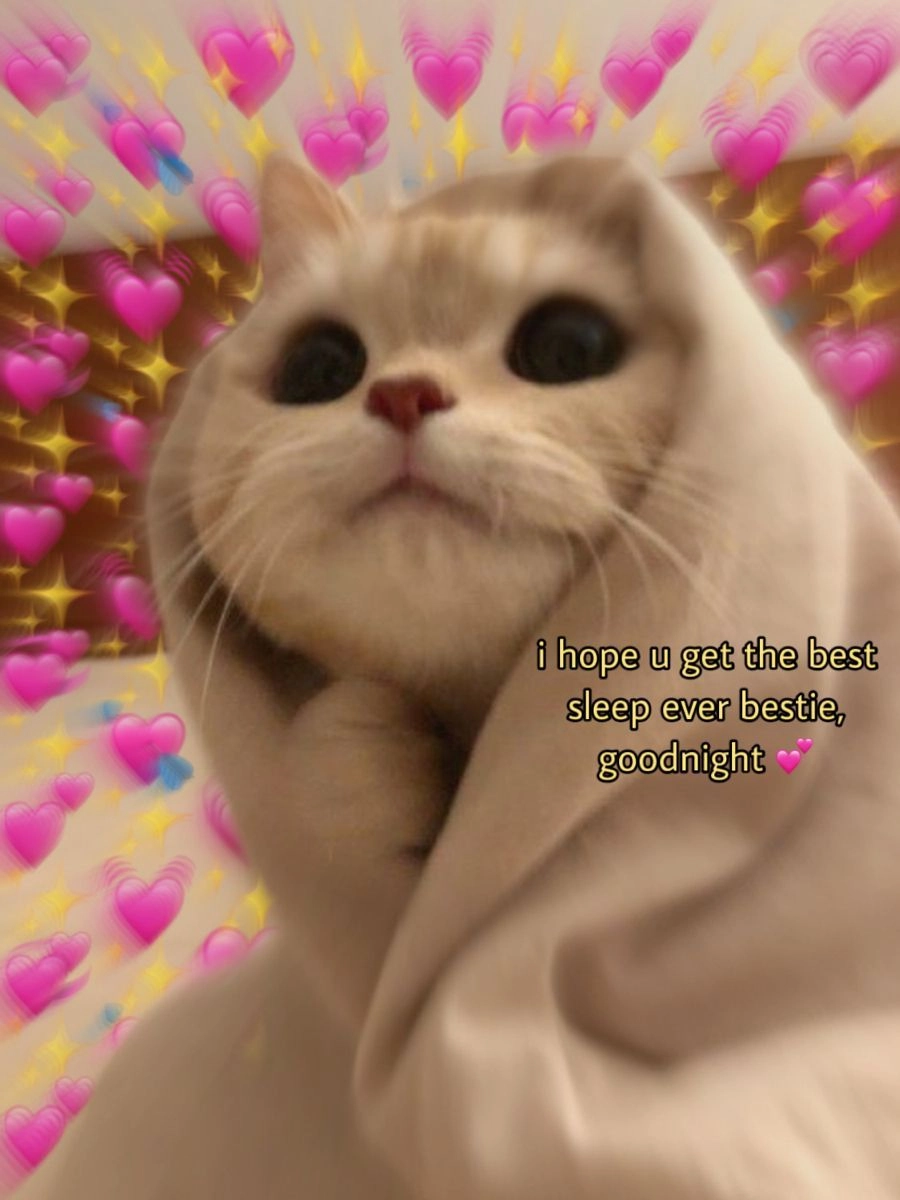 Không thể cưỡng lại với hình mèo cute ngộ nghĩnh