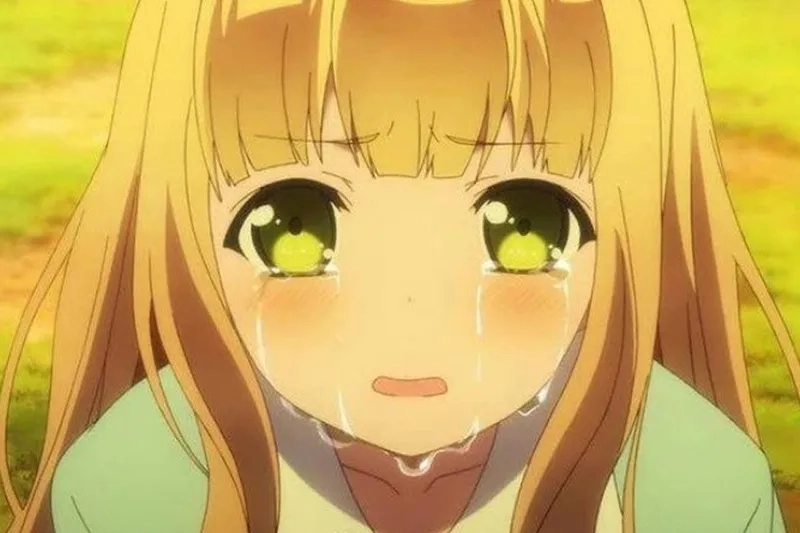 Sưu tầm ngay meme anime hài hước để cười mỗi ngày