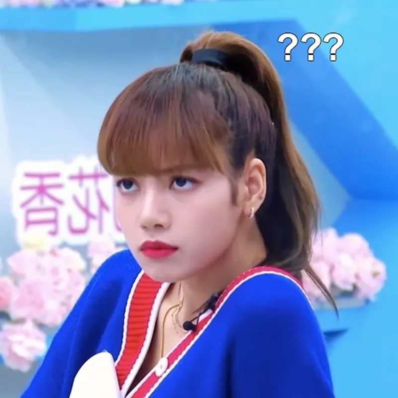 Mọi cảm xúc gói gọn trong foto meme blackpink