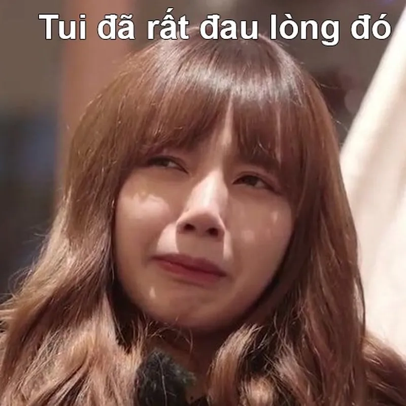Meme đỉnh cao với chất riêng từ meme blackpink how you like that