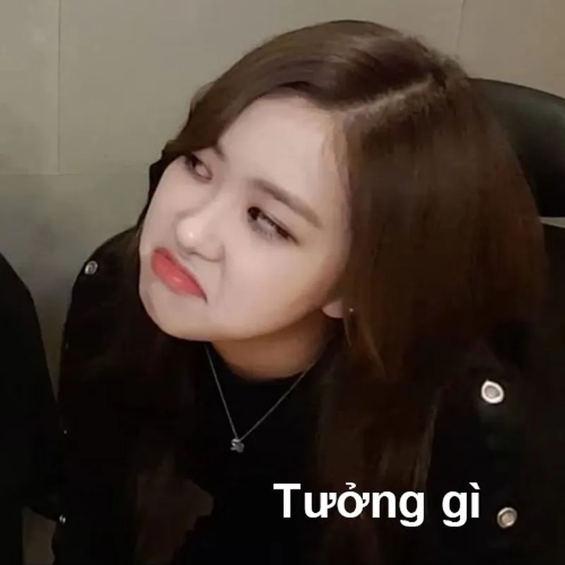 Góc ảnh meme đặc sắc trong blackpink meme pic