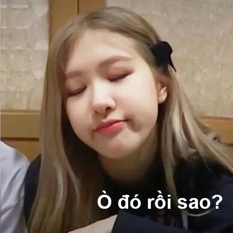 Hài hước một cách sang chảnh cùng blackpink meme gif