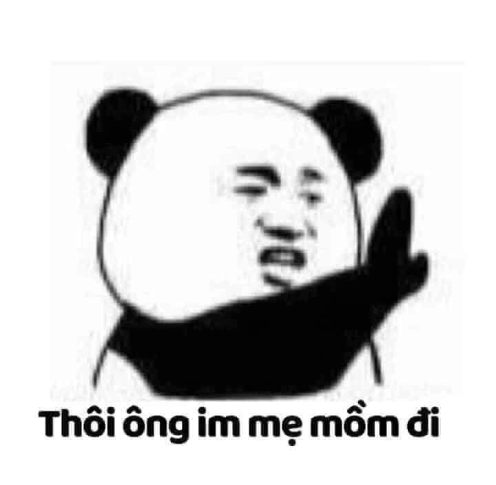 Gấu mà như vậy ai chịu nổi meme gấu bựa