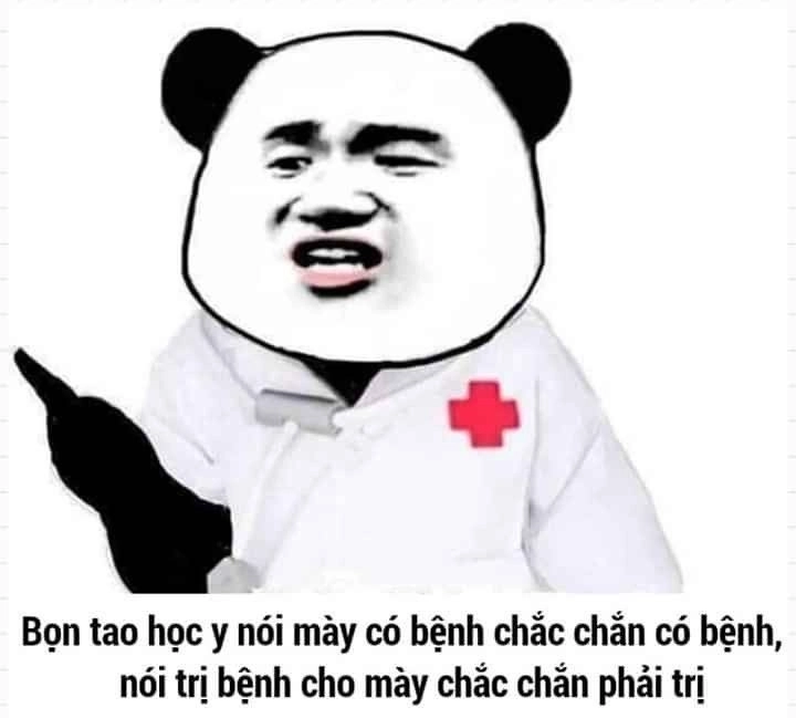 Bựa mà không hề phản cảm gấu trúc bựa siêu hot