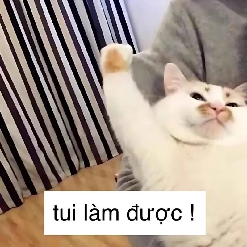 Gắt gỏng nhưng đáng yêu lắm meme bựa