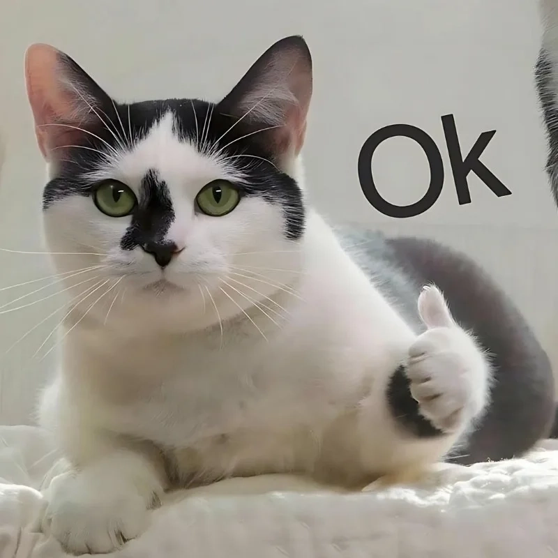 Đầy muối và biểu cảm cực đỉnh ảnh meme bựa