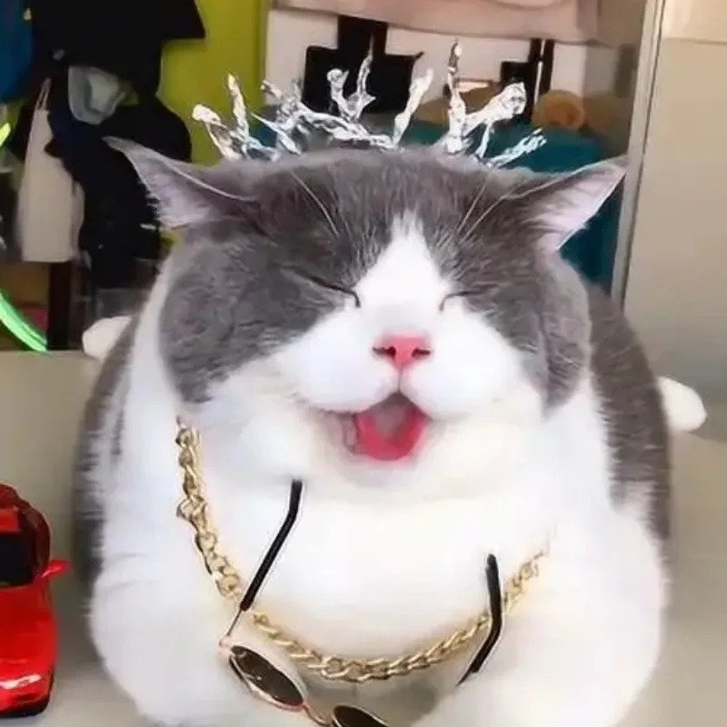 Cười đau bụng với loạt ảnh chế meme bựa