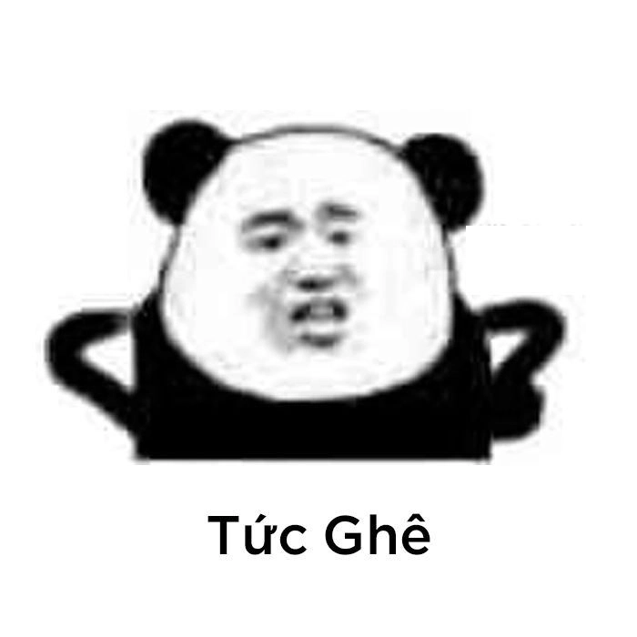 Độ hài tăng max với bộ gấu trúc meme hài