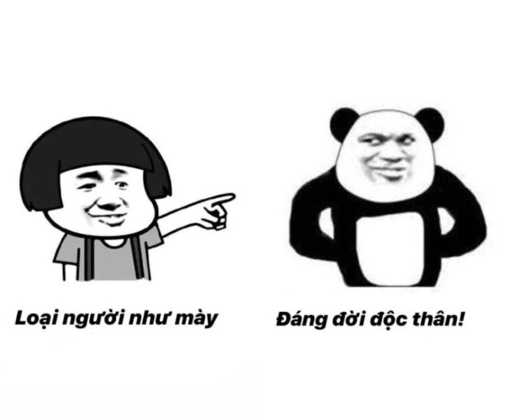 Cười ra nước mắt với gấu trúc mặt bựa cực mặn