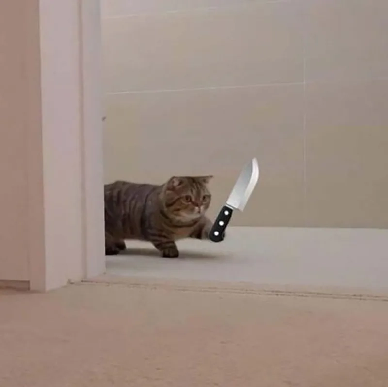 Dừng lại đi trước khi meme mèo cầm dao xuất hiện