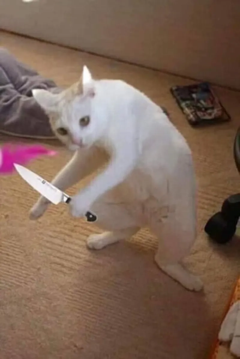Nhẹ nhàng nhưng nguy hiểm meme cầm cây dao