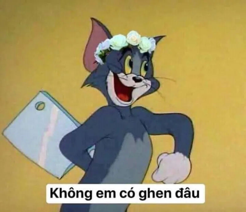 Bộ sưu tập meme mèo tom cầm dao huyền thoại