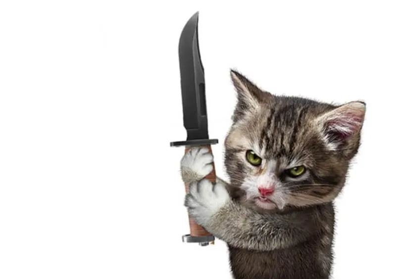 Đứa nào rủ đi ăn mà không trả là meme cầm dao bật lên