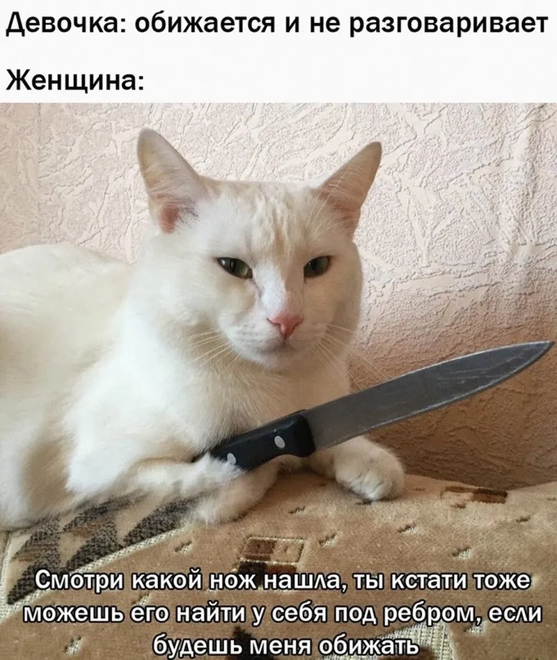 Khi bạn gọi món nhưng bị ăn trước meme mèo cầm dao lên tiếng