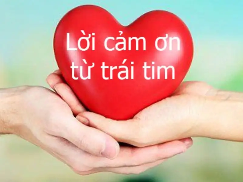 Dễ thương như này thì ai nỡ từ chối meme cảm ơn cute