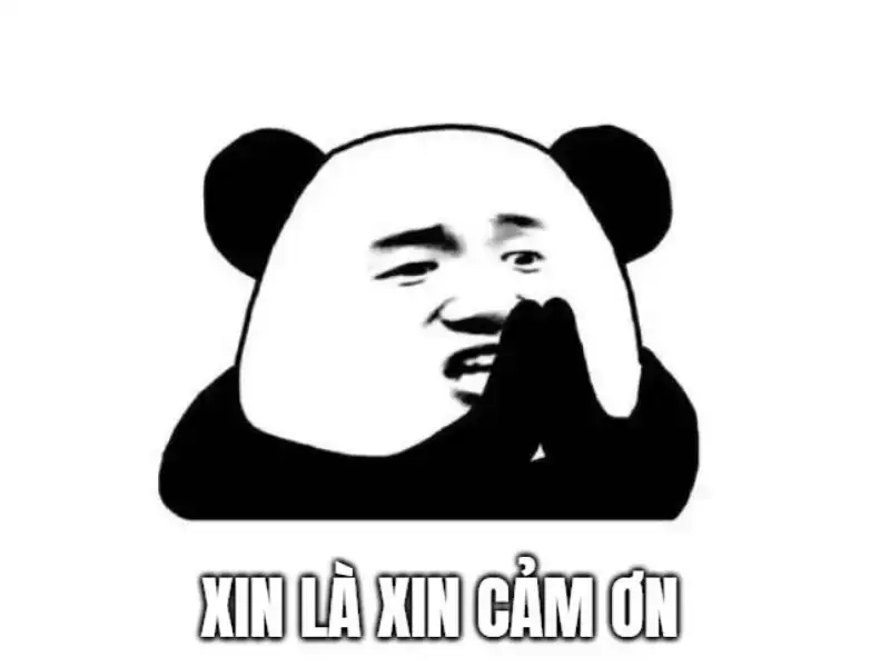 Kết bài hay phải có meme cảm ơn các bạn đã lắng nghe
