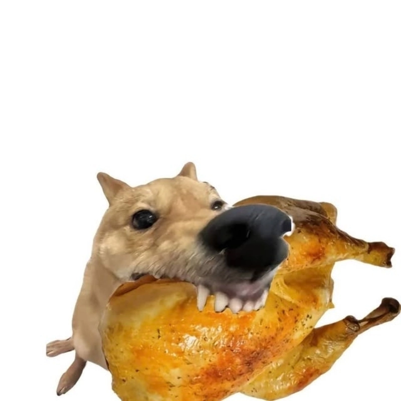 Khi thèm ăn đến mức meme chó gặm thịt không chừa miếng