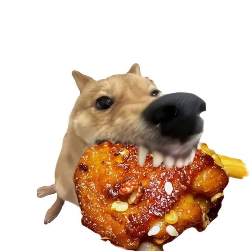 Gương mặt thèm ăn của meme chó ăn thịt khiến bạn cười không ngớt