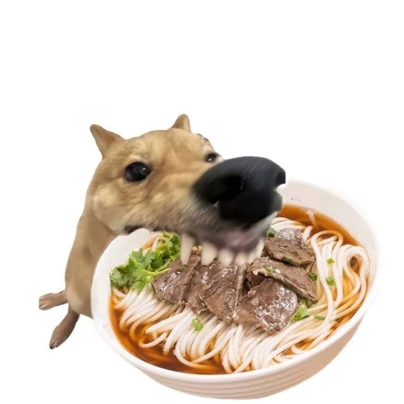 Ai ngờ meme chó ăn thịt kho tàu lại đáng yêu đến vậy