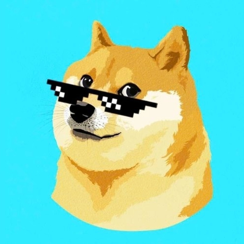 Một bước lên idol TikTok với meme chó nhảy cực bắt trend