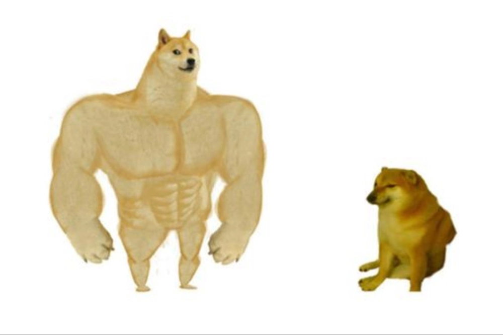 Internet dậy sóng vì sự trở lại của meme chó cheems