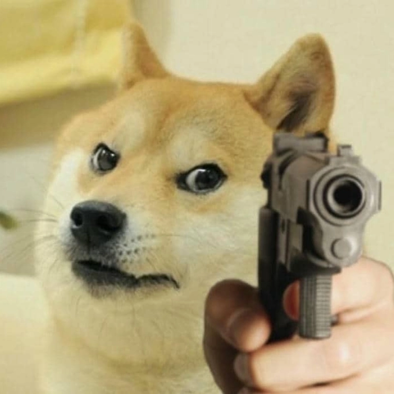 Đừng chọc nó nữa kẻo meme chó dữ bùng nổ cảm xúc