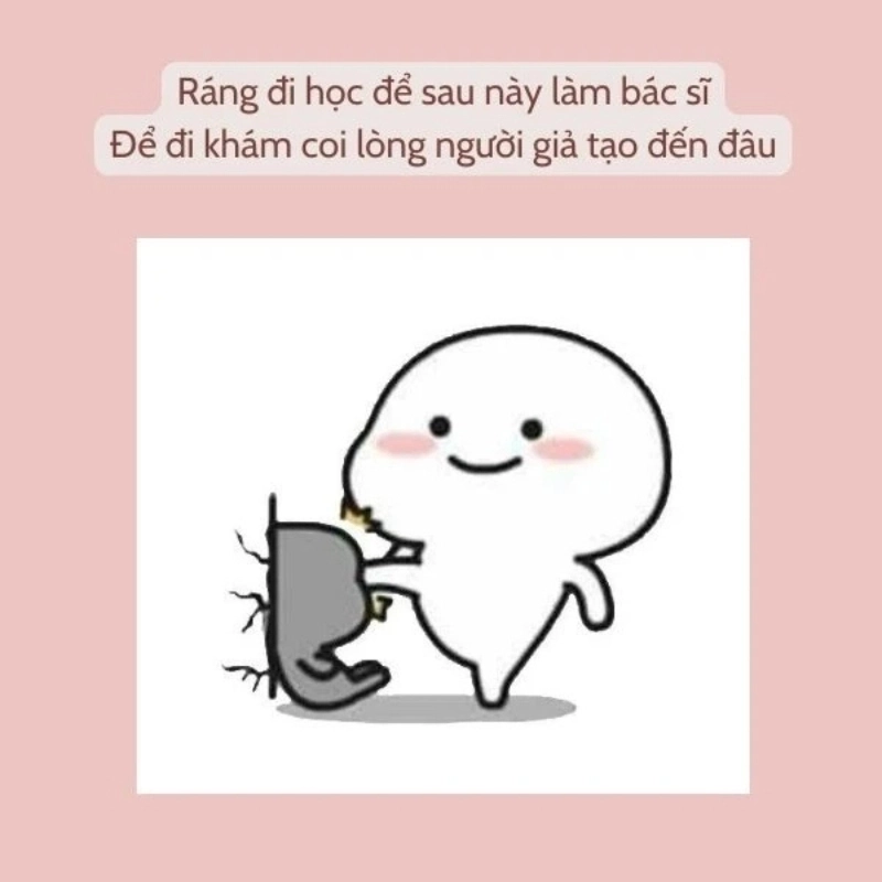 Mặn vừa thôi không lại dính meme chửi hài