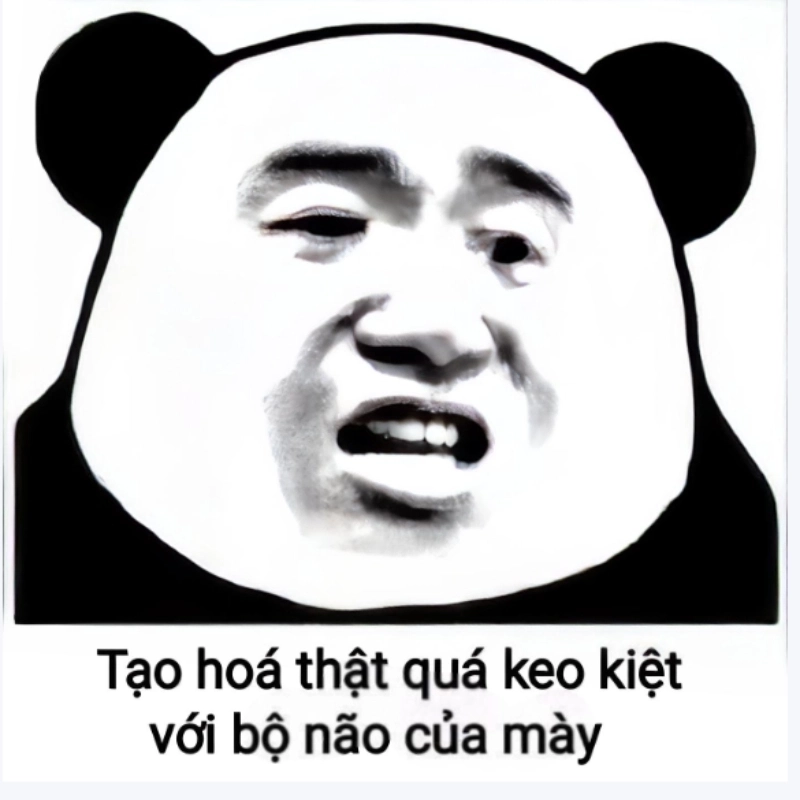 Cười xỉu với combo meme hài chửi có 1-0-2