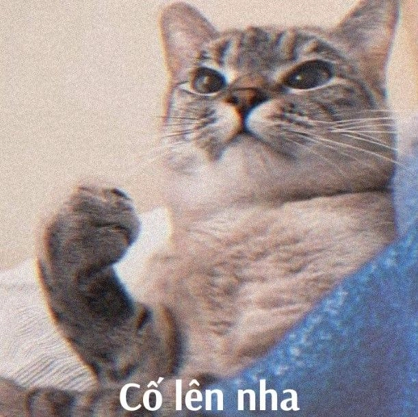 Hô to khẩu hiệu mạnh mẽ lên meme mỗi khi muốn bỏ cuộc