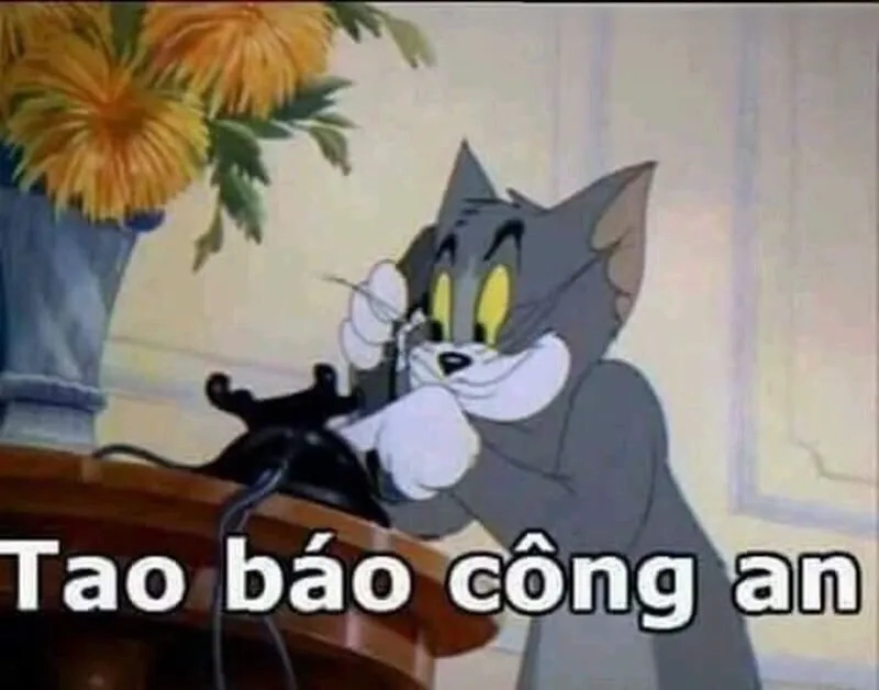 Sự xuất hiện của meme mèo tom báo công an cực dễ thương