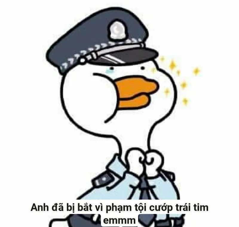 Hài hước pha chút nghiêm túc với meme anh công an cực chất