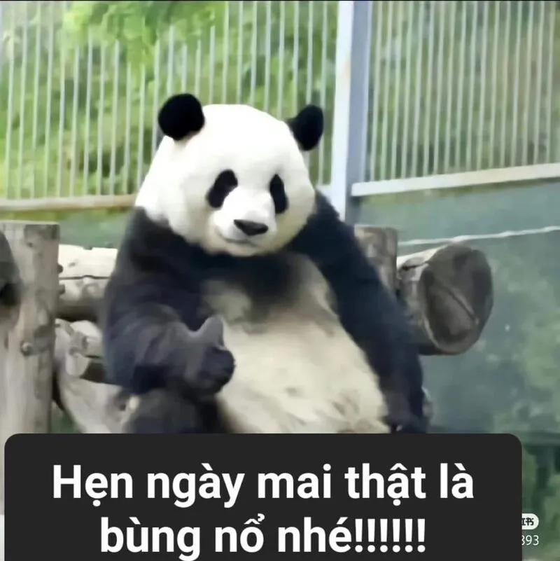 Bạn đã tải về đủ hình meme cute cho bộ sưu tập chưa
