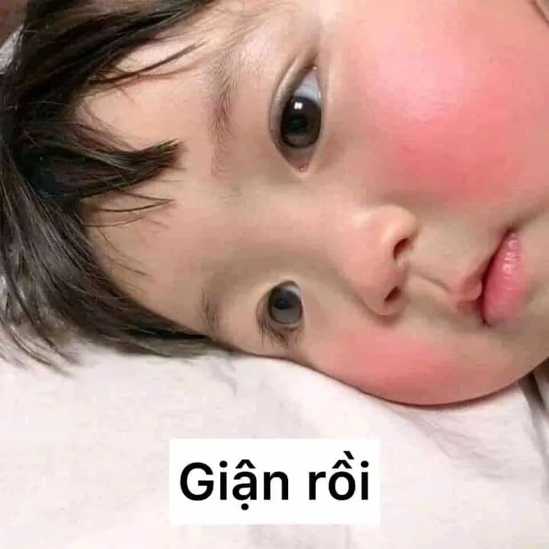 Bật mood ngay với loạt troll ảnh meme cute siêu ngầu