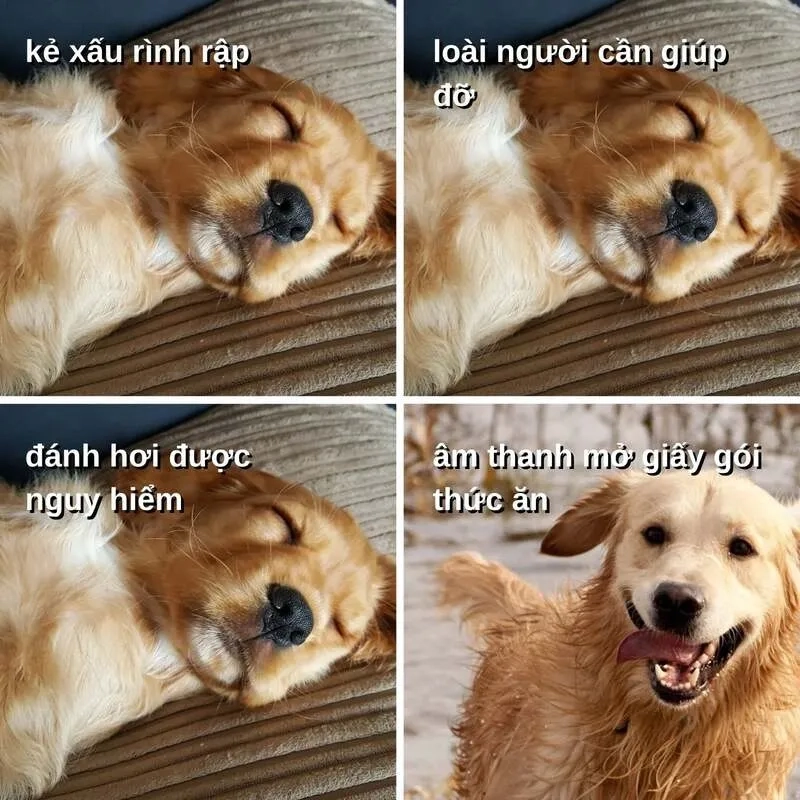 Loạt mochi meme cute ngọt như kẹo khiến ai cũng mê