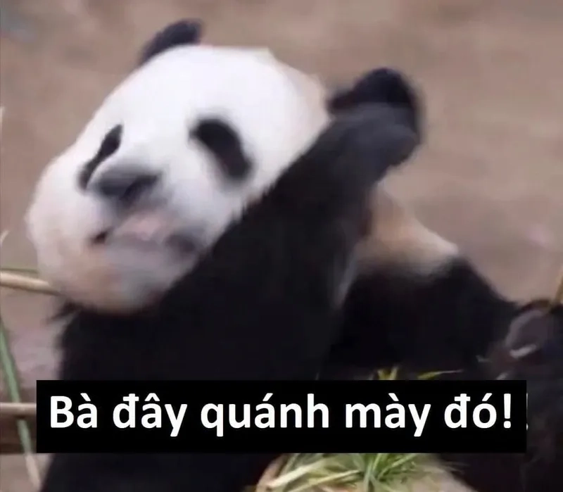 Thử tài sáng tạo với loạt vẽ meme cute siêu yêu
