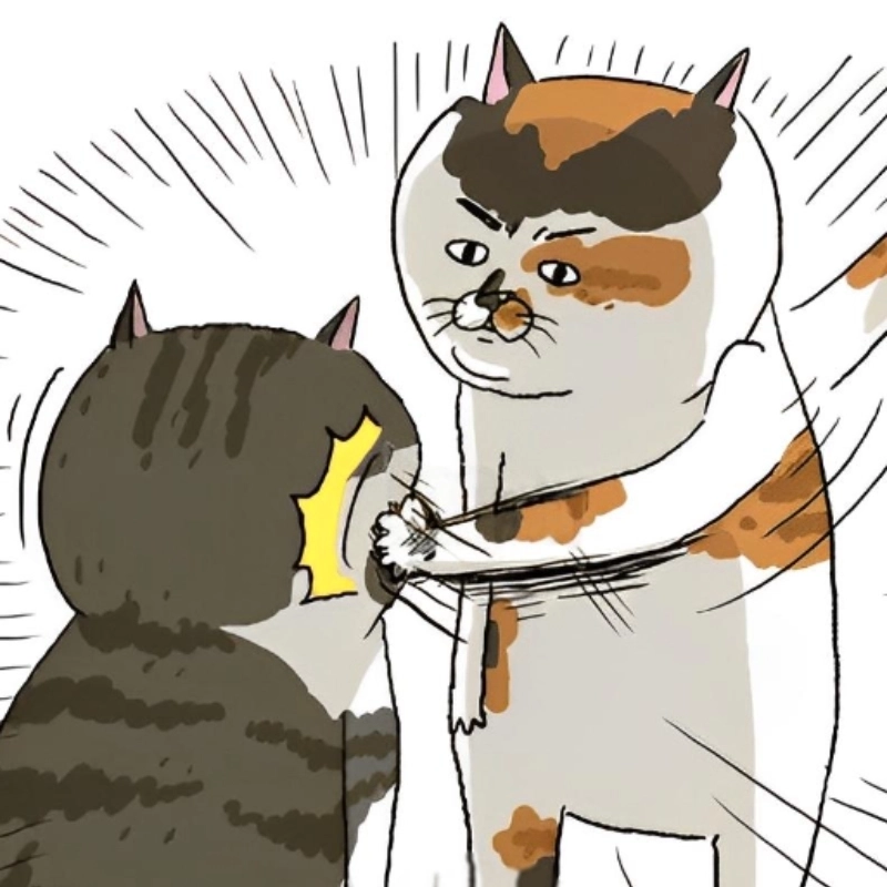 Bật cười với bộ sưu tập meme ảnh đánh nhau siêu độc