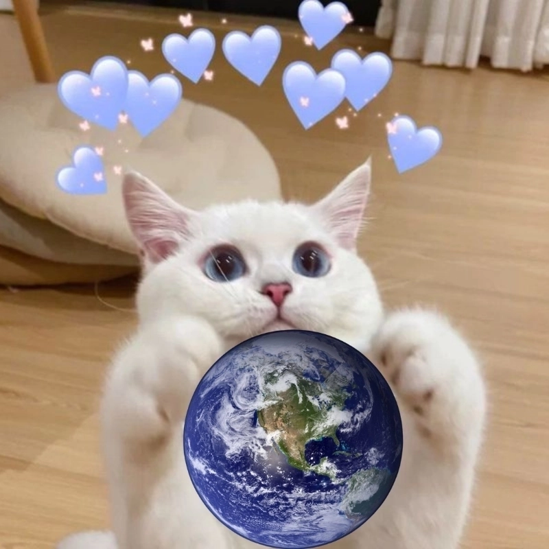 Loạt meme dễ thương trung quốc đang làm mưa làm gió
