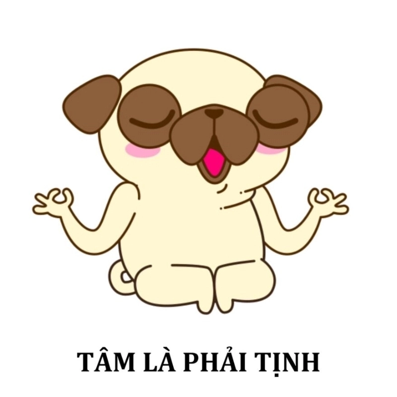 Hình nền chất lượng cao từ hình ảnh meme dễ thương
