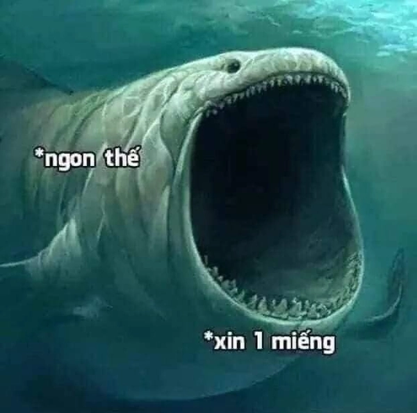 Gương mặt bất ngờ của meme há mồm khiến ai cũng bật cười