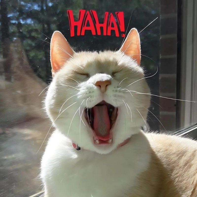 Mỗi lần bất ngờ là cần meme há miệng ngay lập tức
