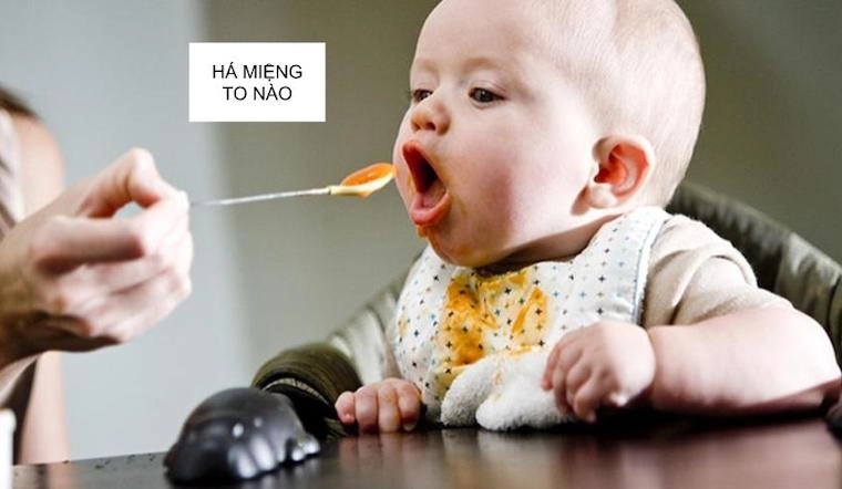Thêm gia vị cuộc sống bằng meme há mồm ăn siêu dễ thương