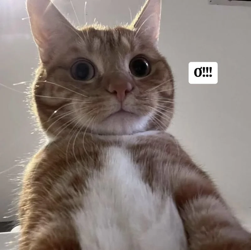 Quay về nguyên bản với loạt mèo meme hài gốc gây bão