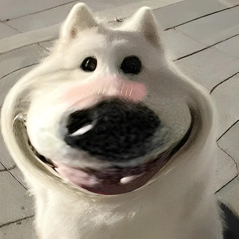 Bùng nổ cảm xúc với loạt ảnh chế meme hài cực vui