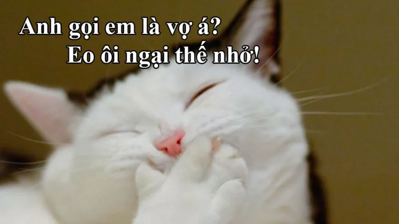 Đỉnh cao hài bựa ảnh chế meme hài bựa dành cho fan cứng