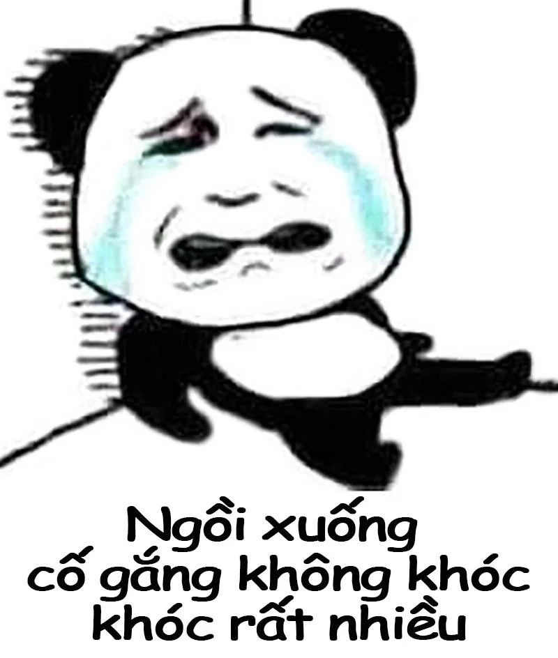 Tổng hợp meme hài hước nhất bạn nên xem ít nhất một lần