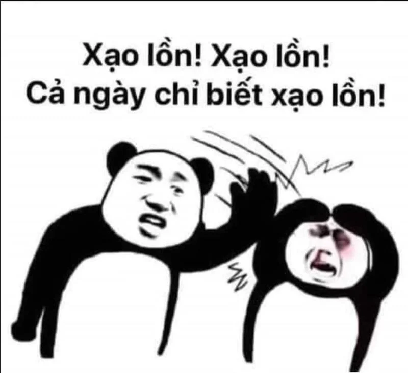 Cười nghiêng ngả với bộ hình ảnh meme hài hước