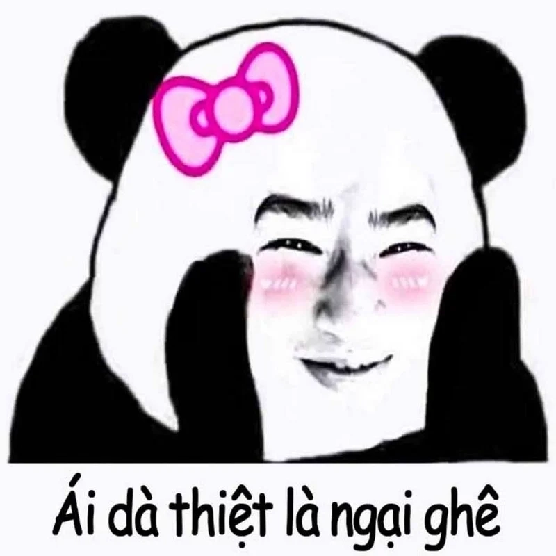 Bạn đã có avatar meme hài hước ngầu như này chưa