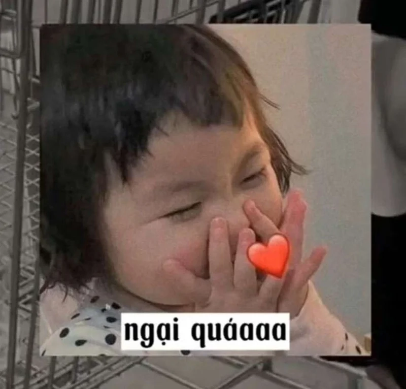 Tổng hợp những meme hài hước được chia sẻ nhiều nhất