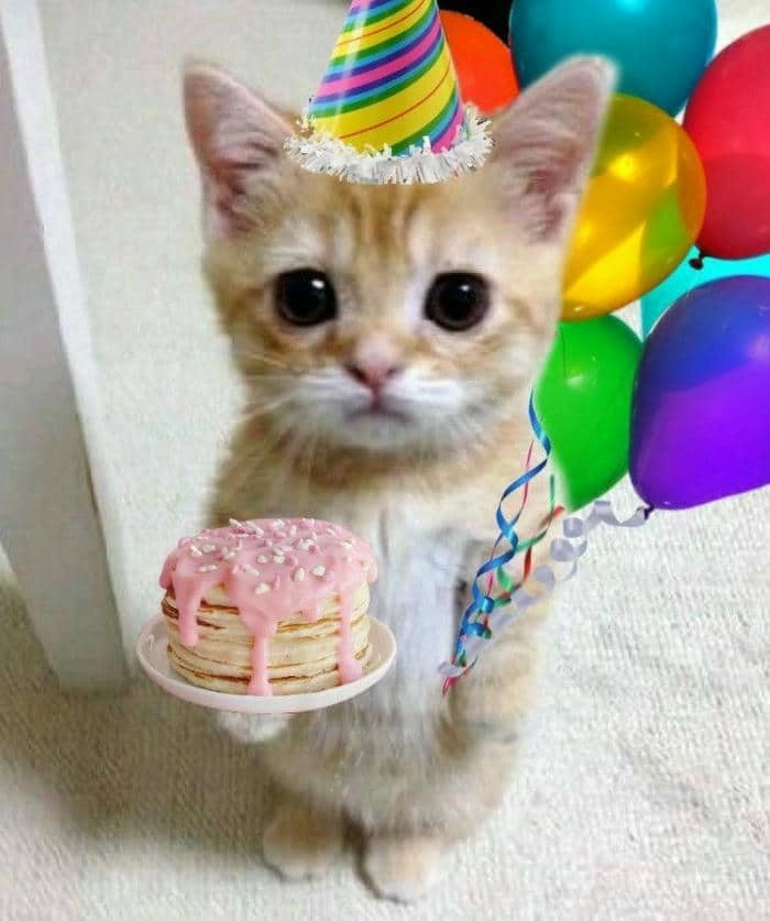 Tự chúc sinh nhật mình bằng meme happy birthday to me siêu cool